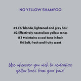 No Yellow Shampoo Backbar 1000ML